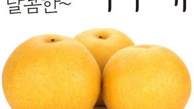 ✨나주배 가정용 선물세트 후기!🍯 달콤함 놓치지 마세요!
