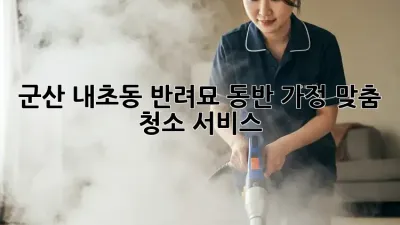 군산 내초동 반려묘 동반 가정 맞춤 청소 서비스